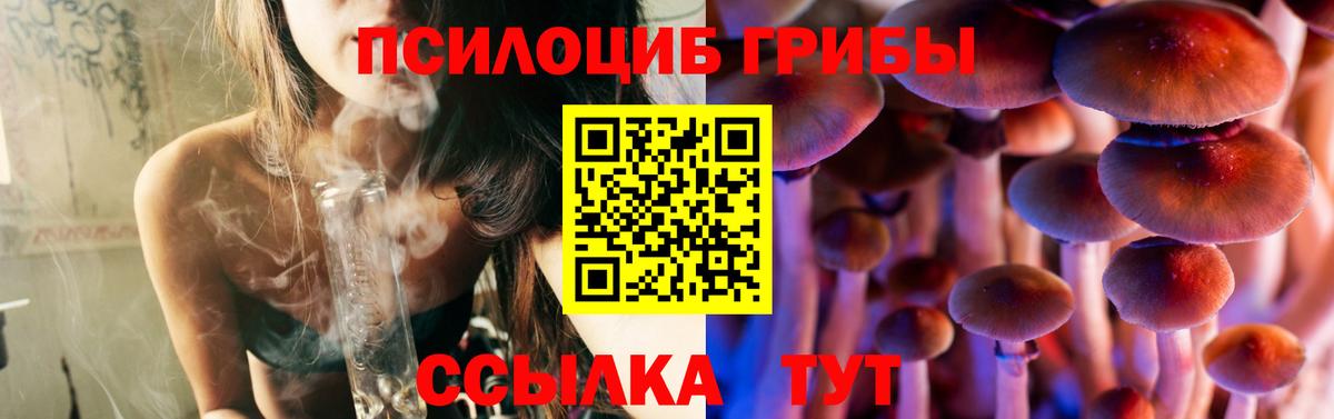 Гатчина  Псилоцибиновые грибы Psilocybe  Вход с VPN 